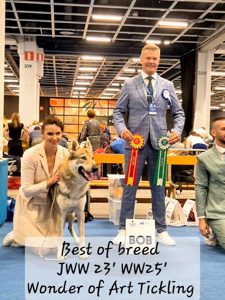 CH. Wonder of Art Tickling