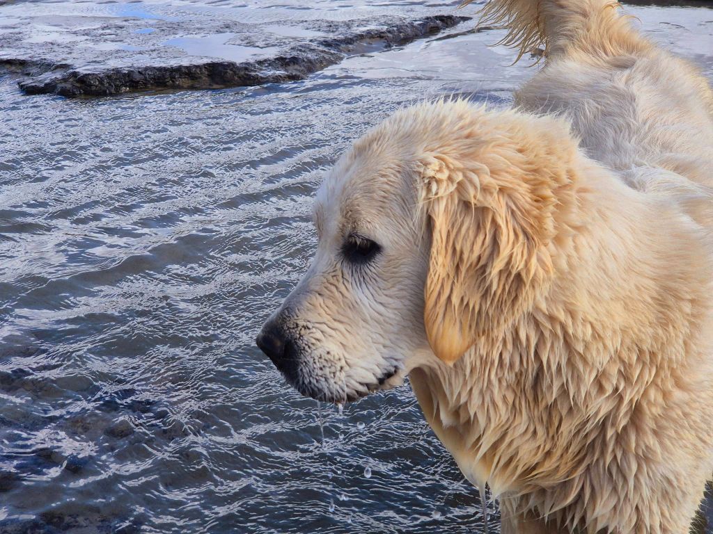 Wonder of Art Unique crown