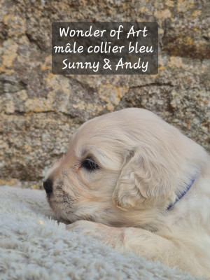 collier bleu